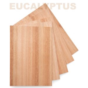 Laservaneri Eucalyptus LAATU I 3 x 610 x 610 mm